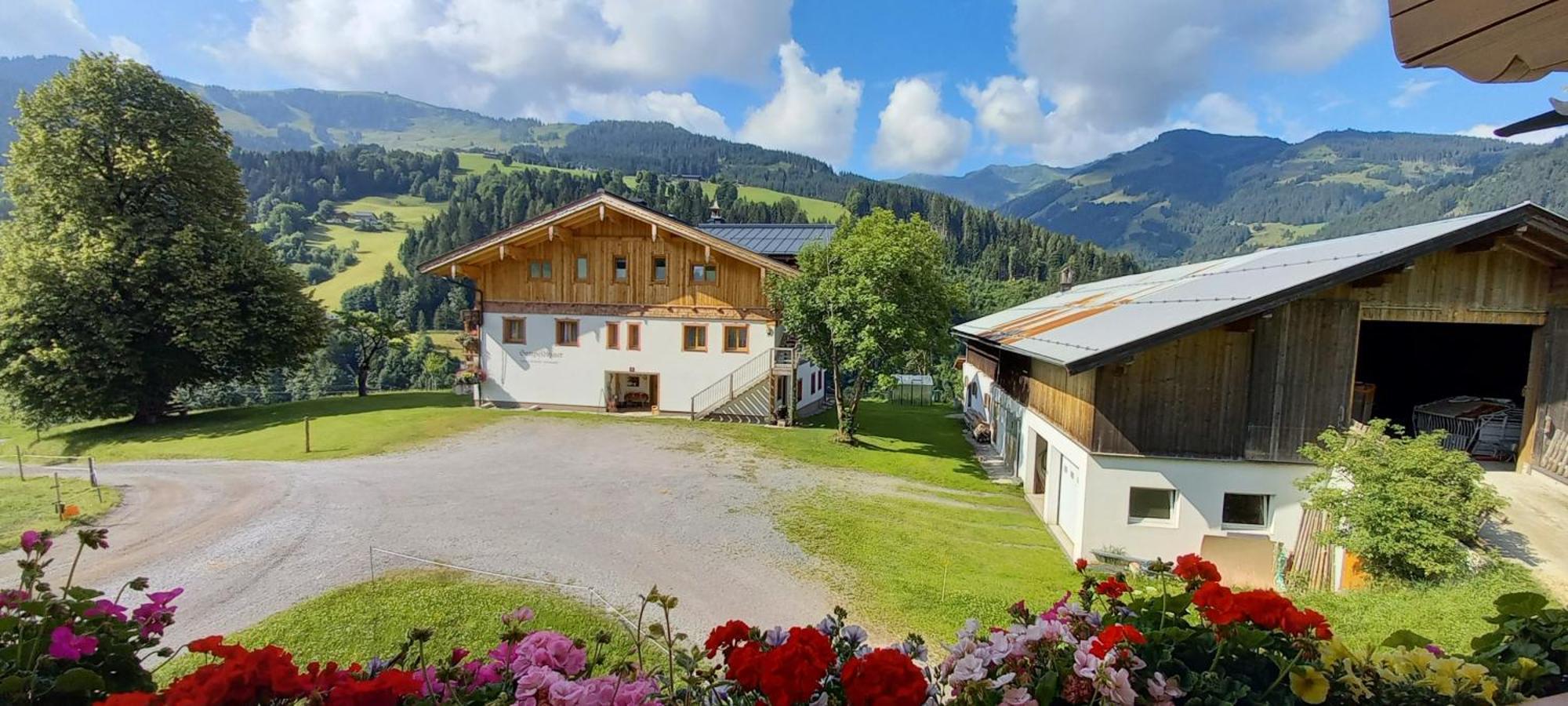 Вілла Gumpoldbauer Марія-Альм-ам-Штайнернен-Мер Екстер'єр фото